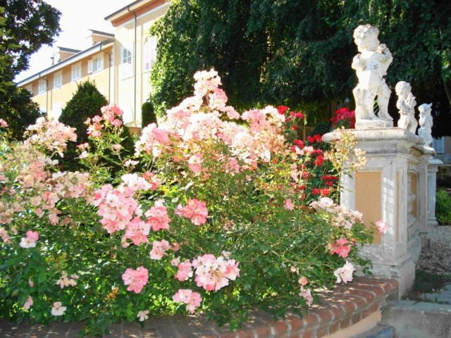 Park Hotel Villa Salzea Trofarello Экстерьер фото